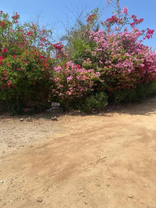 Fulvia House Villa Malindi Luaran gambar