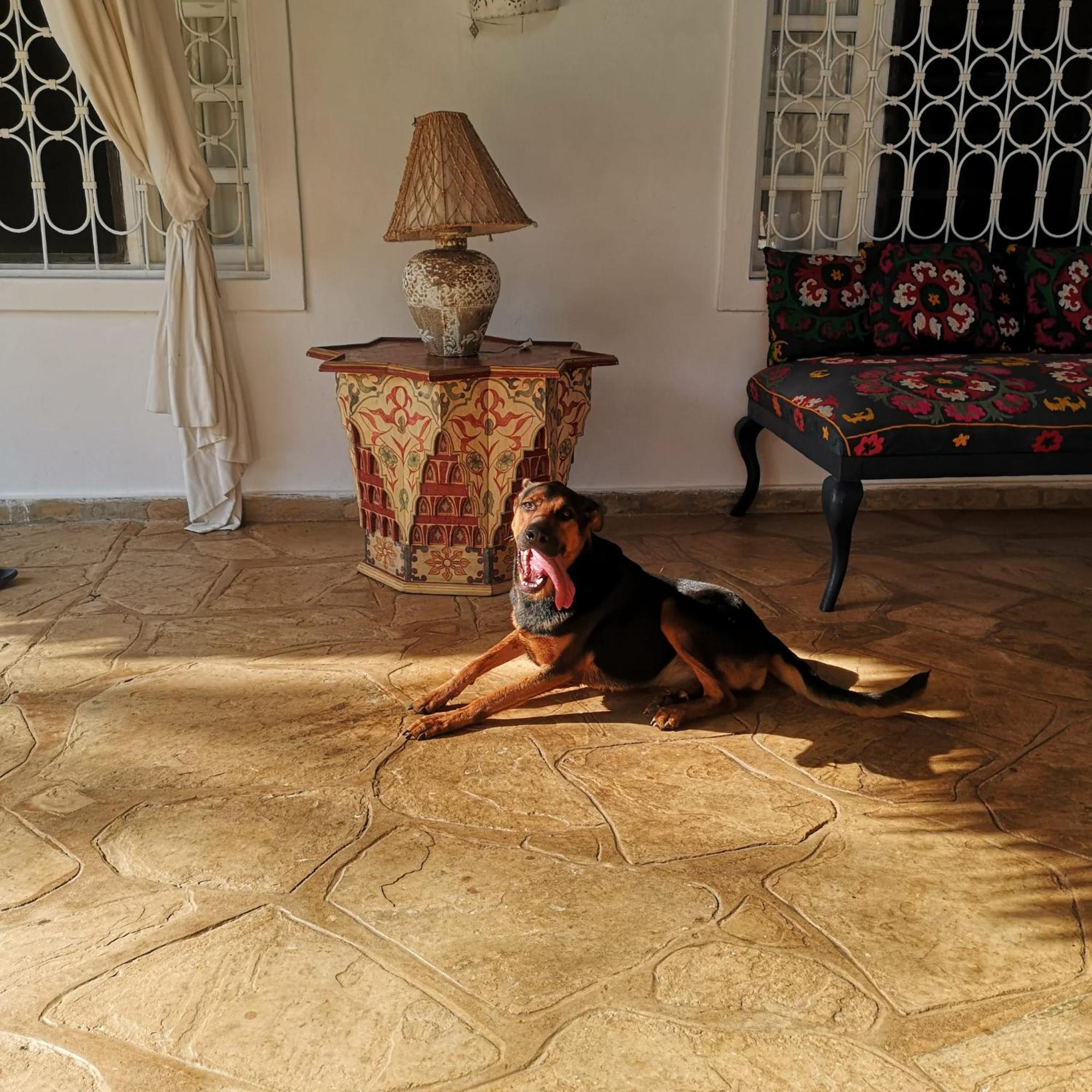 Fulvia House Villa Malindi Luaran gambar